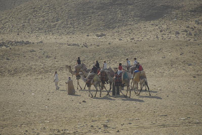 _DSC0030.JPG - (C)NITIN SHAH