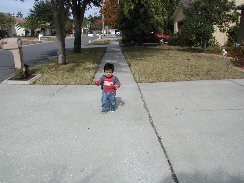 P1180112.JPG - Across the neighbour's driveway