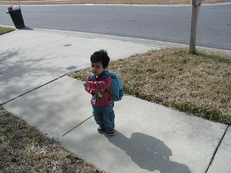 P1180114.JPG - He sees something