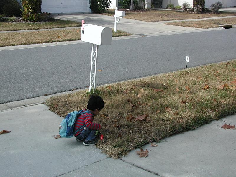 P1180117.JPG - One must examine the grass