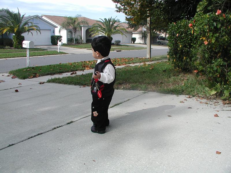 PC160038.JPG - On our driveway