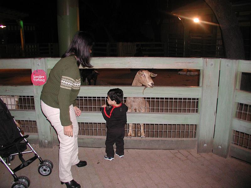 PC300093.JPG - With the goat at the petting zoo