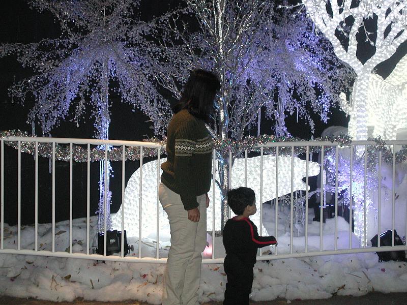 PC300099.JPG - The polar bear light display