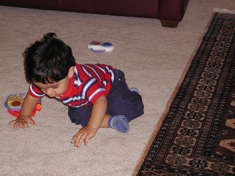 P7040022.JPG - Forget the toys something on the carpet is more interesting - may even be edible.