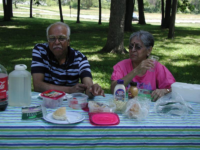 P7050042.JPG - Picnics boost  the appetite. Here the food is being polished off. Notice that almost everything is over but no one has touched the sprouts.