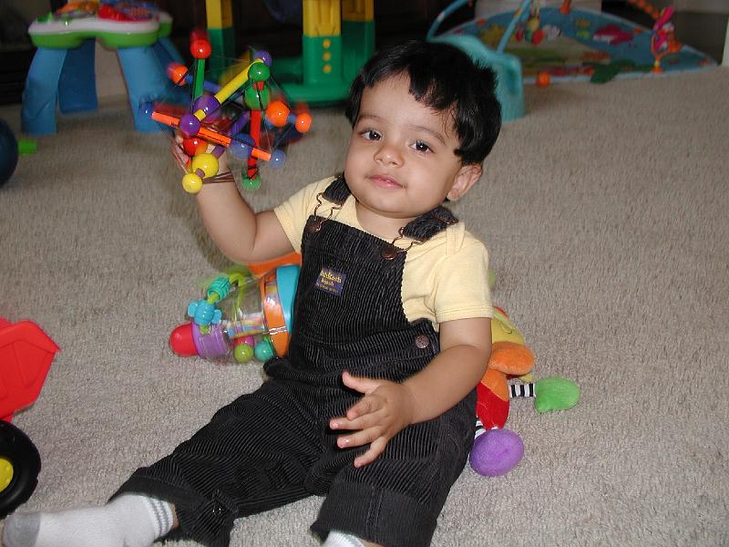 P7080074.JPG - Wonder if this is edible