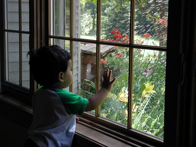 P7090079.JPG - Rohan admiring the garden.