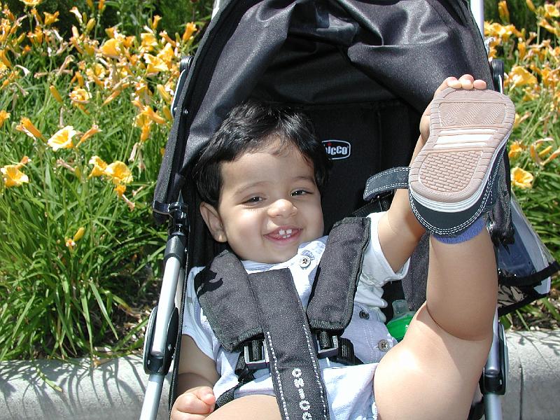 P7090086.JPG - Here is a close up of my shoe