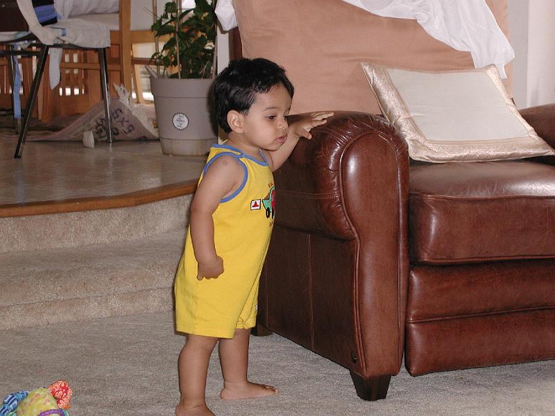 P7100097.JPG - Back in the Shet residence