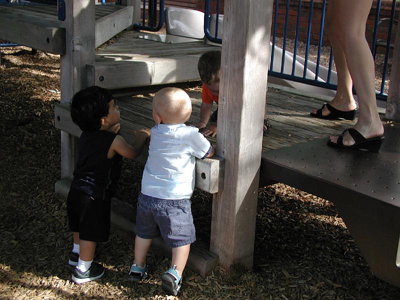 P8040103.JPG - This is a month later. Rohans with a few friends in the park