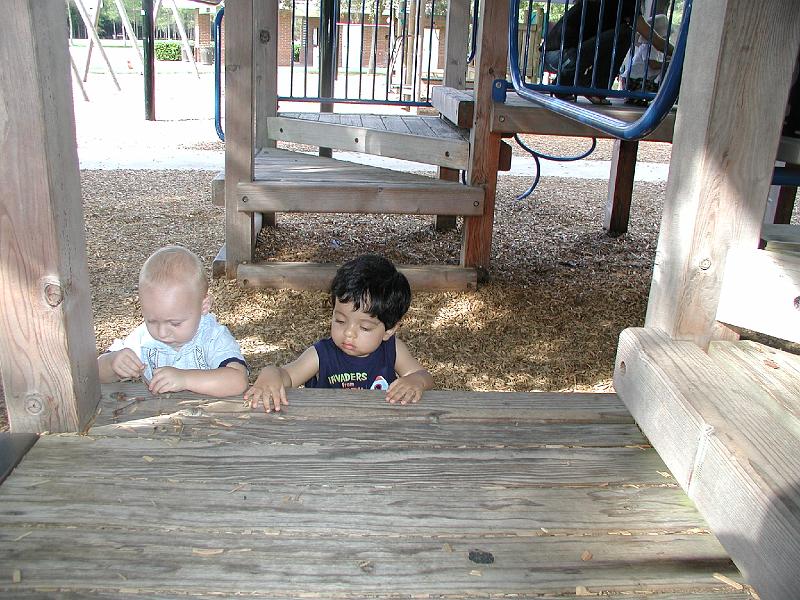 P8040108.JPG - Studiously playing with the mulch