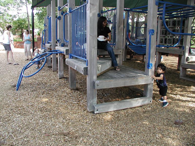 P8040110.JPG - Looking for mama