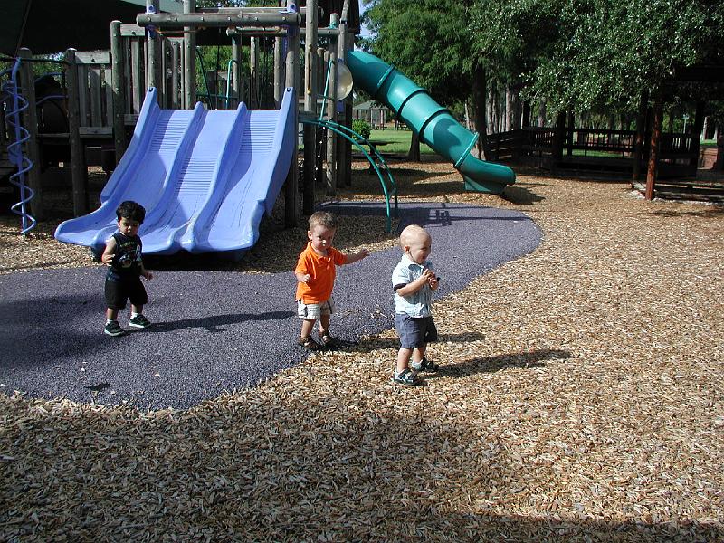 P8040114.JPG - Three in a row