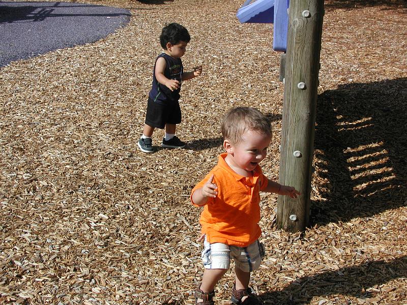 P8040115.JPG - The mulch is fascinating