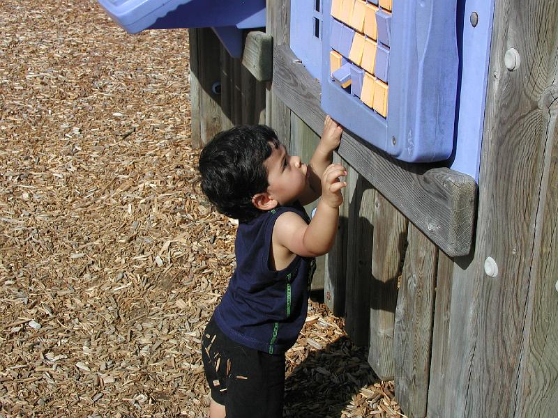 P8040116.JPG - Something out of reach