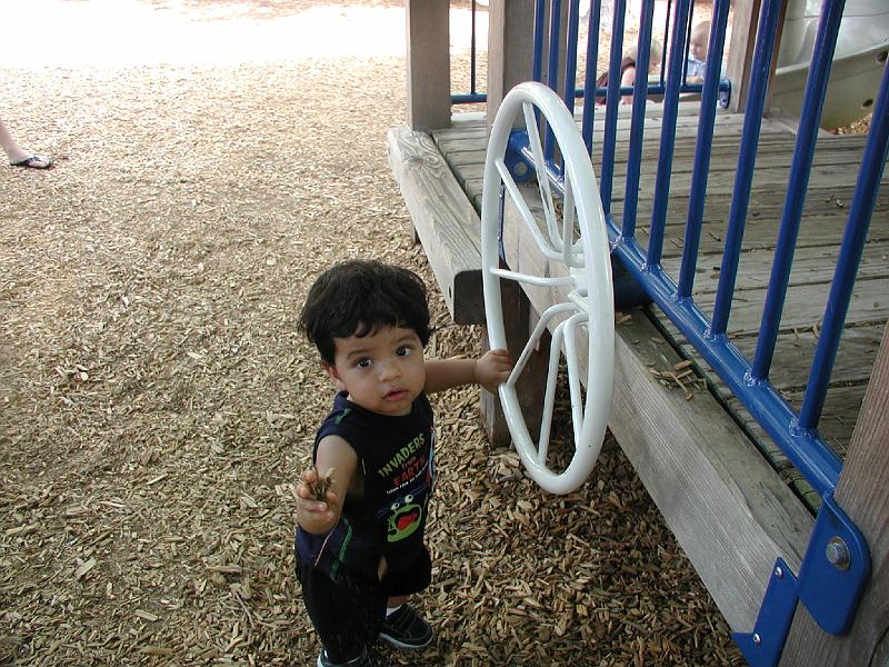 P8040119.JPG - Won't let go of the mulch