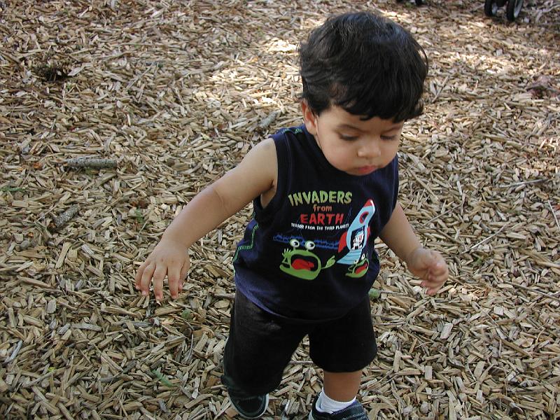 P8040123.JPG - Thats all for this edition