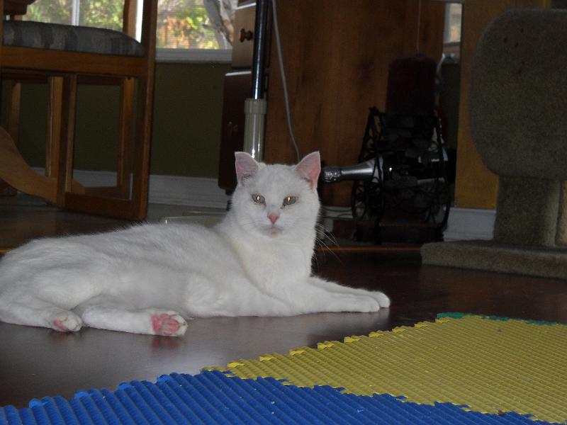 DSCN0007.JPG - Princess again