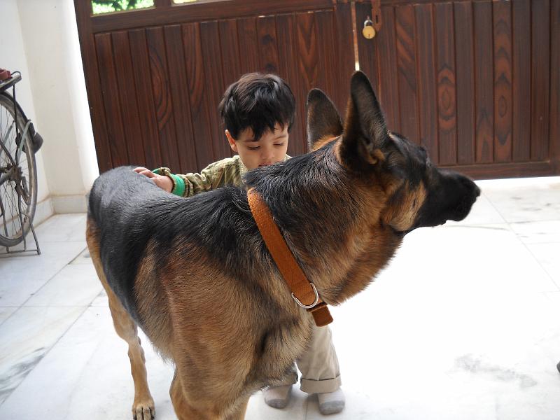 DSCN0097.JPG - Rohan with Anay's dog. Rohan is not scared of dods. He calls them all wowow