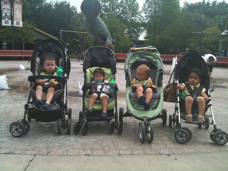 IMG_0131.JPG - On April 30 2010 Devika and Rohan went Lowry Park zoo with a few friends. From left to right you see Brady, Christian, Teddy and Rohan