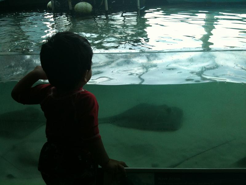 IMG_0141.JPG - Looking at the rays