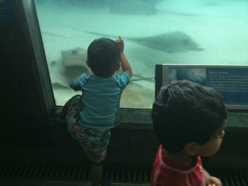 IMG_0142.JPG - Christian and Rohan at the rays tank