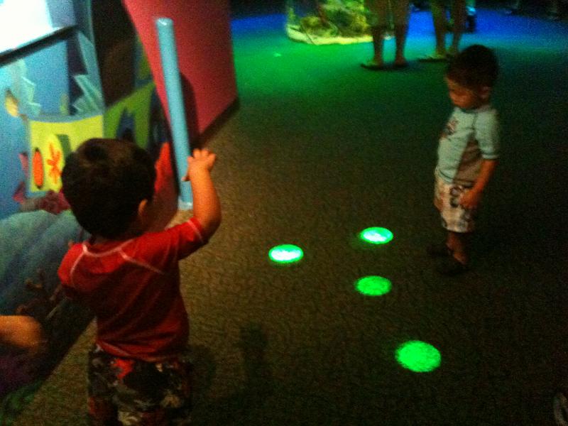 IMG_0153.JPG - Trying to step on the lights