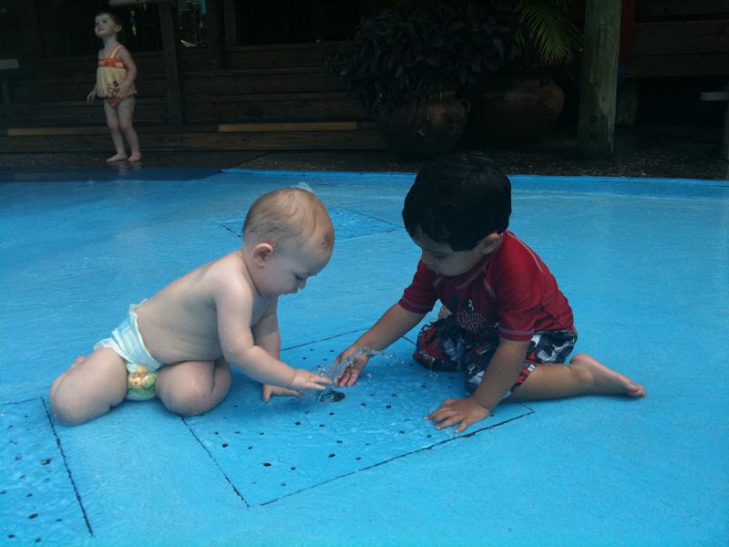 IMG_0169.JPG - Sharing the water