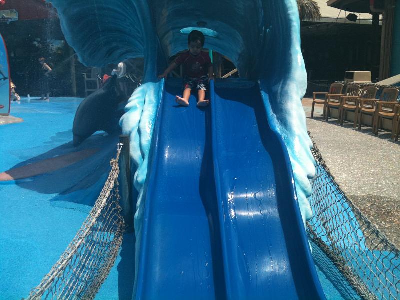 IMG_0170.JPG - At the top of the slide