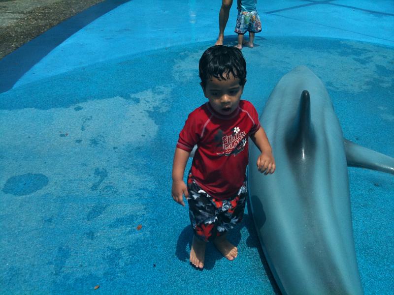 IMG_0186.JPG - With a dolphin