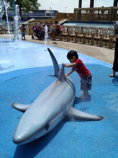 IMG_0195.JPG - With a shark