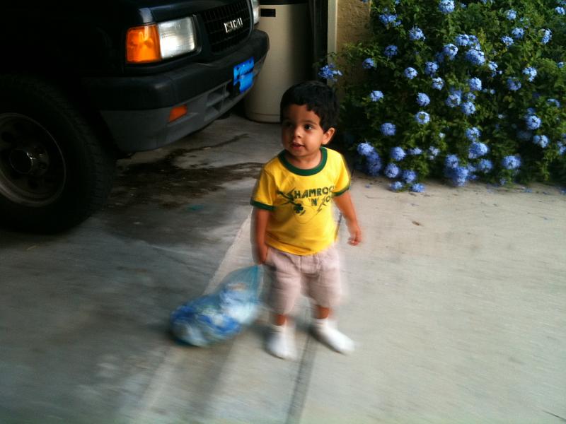 IMG_0216.JPG - Out they go