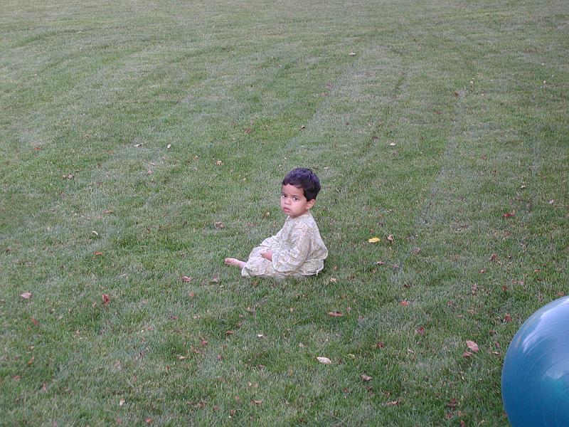 P7060045.JPG - Alone on the grass