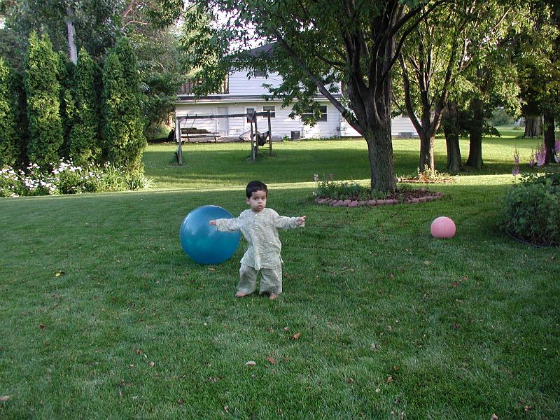 P7060049.JPG - Time for a dance