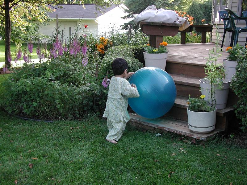 P7060050.JPG - Rolling the ball up to put it away