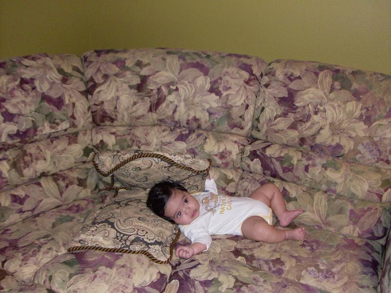 HPIM0934.JPG - How about the sofa