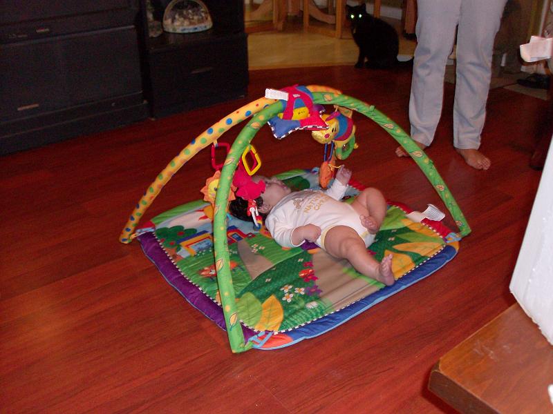 HPIM0956.JPG - Time for the play mat