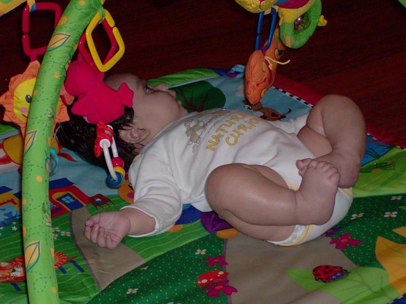 HPIM0957.JPG - Maybe the playmat mattress is the one.