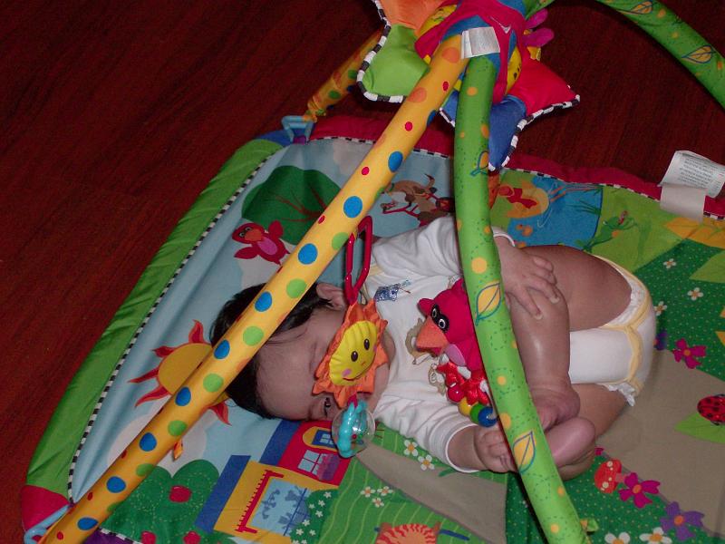 HPIM0963.JPG - Maybe if he does some crunches...