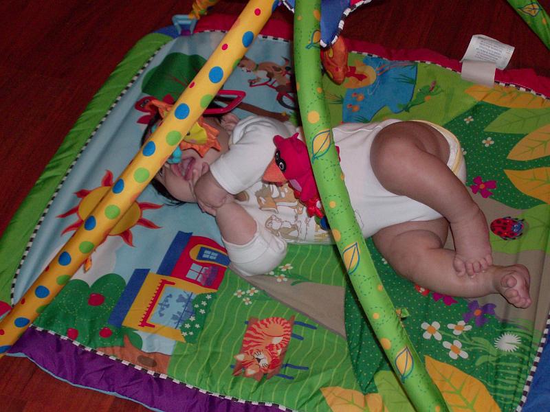 HPIM0964.JPG - Now show wonderment