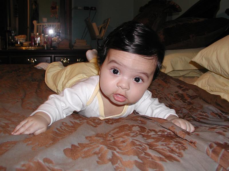 PA130004.JPG - However Rohan is a good boy and go to the mattresses he does. Here he is on our mattress