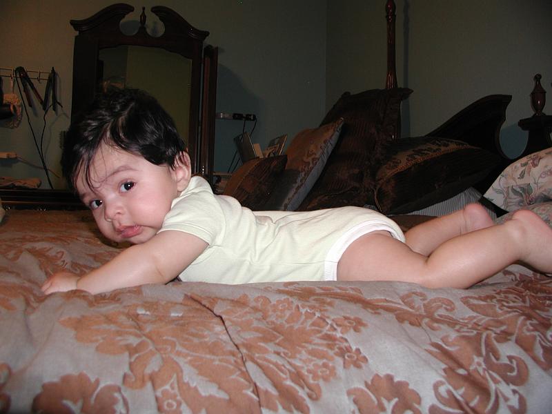 PA220060.JPG - A very serious look