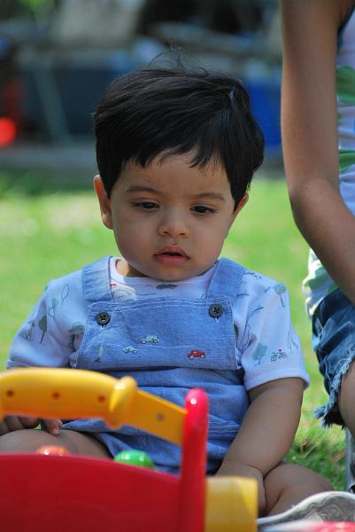 DSC_0688.JPG - Yup its been one whole year - it is a lot to think about.