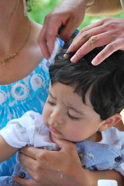 DSC_0733.JPG - Picking things out of Rohan's hair