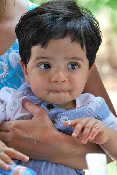 DSC_0737.JPG - Most of it made it