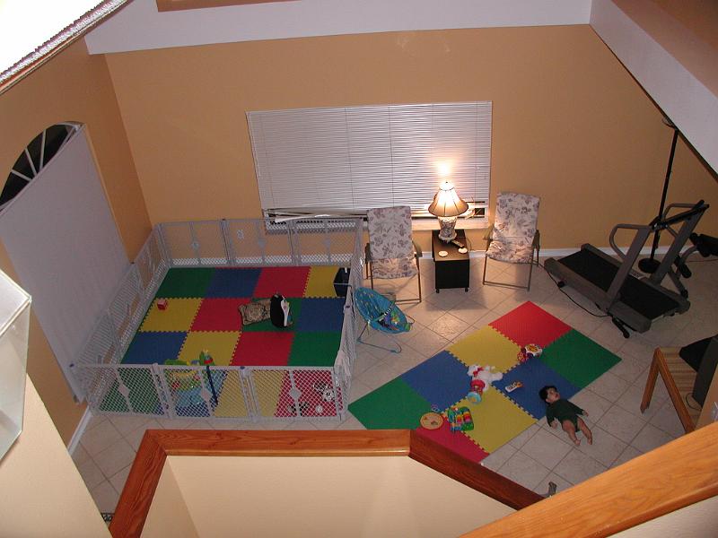 P1020097.JPG - This is a birds eye view. The cage like structure that you see will be Rohan's playpen. He will play there, sleep there and at periodic intervals we will shovel food over the side.