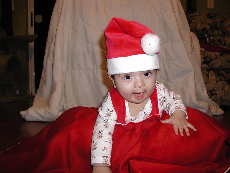 PC040007.JPG - Now that Santa has delivered the toys he can indulge in some horse play