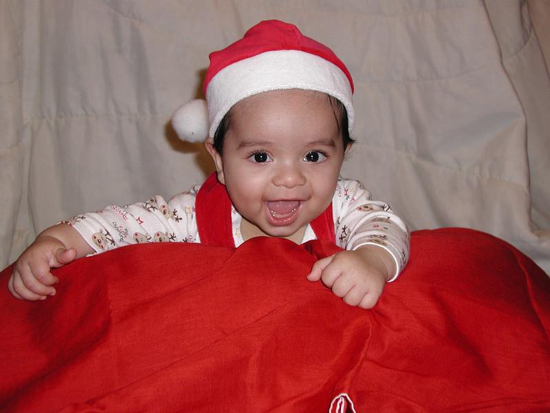 PC040008.JPG - Let us pretend this is Santa's fort