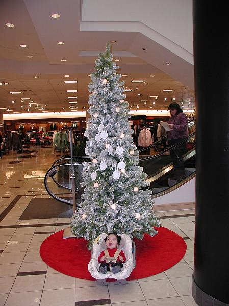 PC220058.JPG - Rohan by a Christmas tree. He is wonder struck, hence the open mouth - could also be he is sleepy or screaming.