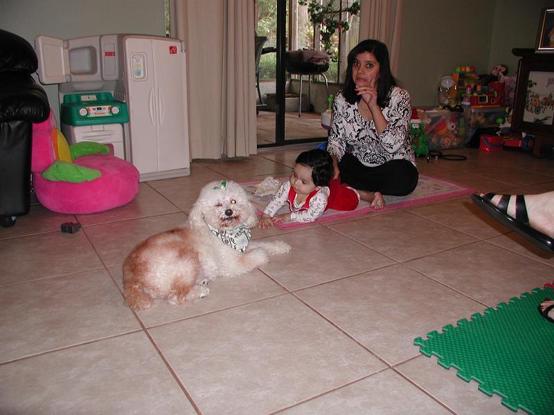 PC250073.JPG - Rohan wants to play with Ruffy. He classified Ruffy as cat no. 6